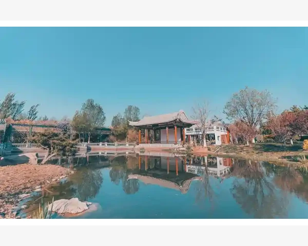 步长化痰止咳糖浆：中医科普及护理保健