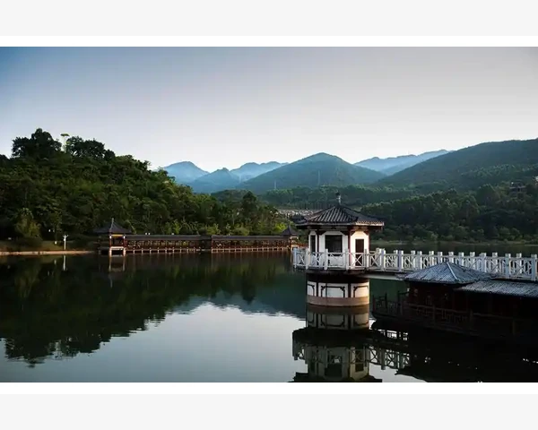 中药处方缓解胃疼