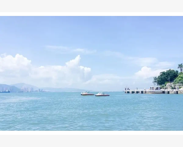 清肺化痰丸：何种水可搭配使用？