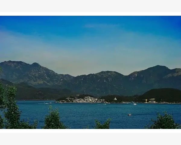 蜂蜜水的正确喝法：让你轻松化痰畅享健康
